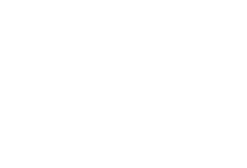 LetsFly Logo